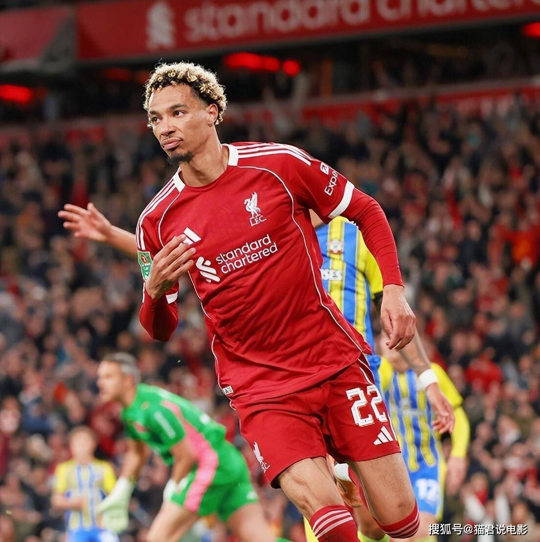 投入很快就, 束之后, 今夏两度刷 投入很快就, 束之后, 今夏两度刷